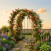 Relaxdays Rosenbogen, Metall, HBT: 250 x 180 x 210 cm, Produktbild-Vorschau 2