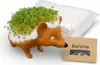 Huka DIY set riccio con crescione - Coltiva i tuoi riccioli Anteprima dell’immagine prodotto 1