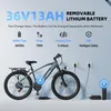Bicicletta elettrica mountain bike S800 per adulti,  250W, Anteprima dell’immagine prodotto 12