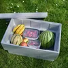 Climapor Styropor Thermobox Plus 54,5 x 35 x 30 cm - 32 L - Produktbild-Vorschau 5