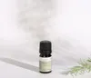 Rosmarinöl, ätherisches Öl, 100% Rein, BIO, natürlich, 10 Produktbild-Vorschau 9