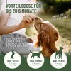 REAVET Gras & Kotfresser Drops für Hunde – Sekundierend bei Produktbild-Vorschau 3