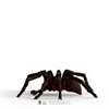 Hračka Schleich Harry Potter - Aragog Anteprima dell’immagine prodotto 10