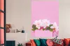 MuchoWow® Poster Blüte - Sommer - Rosa 120x160 cm - Produktbild-Vorschau 2