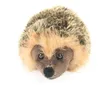 Igel, 15 cm, Plüsch Produktbild-Vorschau 5