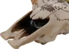Deko Schädel HWC-Q10, Polyresin Stier Bulle Longhorn Kopf Produktbild-Vorschau 2
