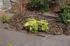 GARTENVLIES UNKRAUTVLIES Braun 50g/m² mit UV-Schutz 25 m Produktbild-Vorschau 10