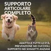 ARTIPET | Integratore Articolazioni Cane e Gatto, 120 Anteprima dell’immagine prodotto 5