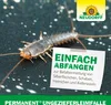 Neudorff Permanent UngezieferLeimFalle 2 Stk. Produktbild-Vorschau 6