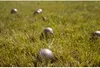 Kruzzel 23440 Petanque, 6 Stück Produktbild-Vorschau 7