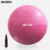 GORILLA SPORTS® Gymnastikball - inkl. Luftpumpe, 55 cm, bis Produktbild-Vorschau 4