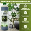 GreenPanda Monstera Dünger & Philodendron Dünger - 1L Produktbild-Vorschau 5