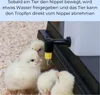 2er Set Nippeltränke 500 ml Wassertränke Hühnertränke Produktbild-Vorschau 3
