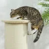 Arbre à chat PawHut, 85 cm, colonne à griffer, tronc à Voir les images du produit 8