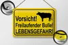 Blechschild Hinweis 30x20cm Vorsicht freilaufender Bulle Produktbild-Vorschau 3