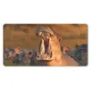 MuchoWow® Schreibtischunterlage Nilpferde - Wasser 80x40 cm Produktbild-Vorschau 1