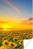 MuchoWow® Poster Blumen - Sonnenblume - Sonnenuntergang - Produktbild-Vorschau 1