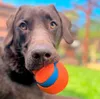 Chuckit Ultra Tumbler Hundespielzeug Produktbild-Vorschau 8