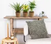 3x Tropische Zimmerpflanzenmischung Inkl. Seagrass Basket Produktbild-Vorschau 7