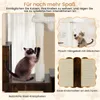 A cat scratching post and play structure with additional marketing images and text. Voir les images du produit