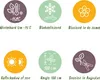 Green boutiQ - Balkonpflanze - Hortensie - Hydrangea Produktbild-Vorschau 9