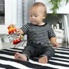 Baby Einstein Rassel Spielzeug Cal's Activity Hourglass - Produktbild-Vorschau 3
