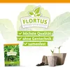 Kresse | Kressesamen von FLORTUS Produktbild-Vorschau 3