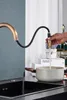 2-Wege Küchenarmatur Bloom, Retro-design, 360° schwenkbar, Produktbild-Vorschau 9