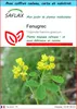 SAFLAX Ensemble-cadeau - Fenugrec - 100 graines - Voir les images du produit 1
