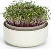 Plastia Urbalive Keimsprosskit für Microgreens, Elfenbein Produktbild-Vorschau 22