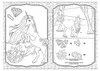 Licornes - Page à colorier A4 Voir les images du produit 3