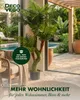 Umělá palma Cycas, dekorativní umělá palma, výška 165 cm, Náhled obrázku produktu 3