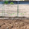 Łuki do tuneli Relaxdays, zestaw 6 sztuk, wsporniki do Podgląd zdjęcia produktu 5