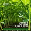 Lupine Gründünger 2 kg Produktbild-Vorschau 4