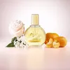 Vanderbilt Eau De Toilette Spray 100ml Produktbild-Vorschau 20