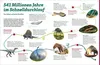 WAS IST WAS Dinosaurier. Superechsen der Urzeit Anteprima dell’immagine prodotto 4