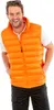 Result R193M | Mens Ice Bird Padded Gilet - Couleur : Voir les images du produit 5