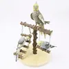 Heikoeco® wellensittich spielzeug, Holz, mit Leiter & Produktbild-Vorschau 3