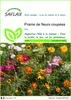 SAFLAX  - Prairie de fleurs coupées - 1000 graines - Mix Voir les images du produit 1