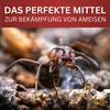 Ameisenspray – 1L Produktbild-Vorschau 3