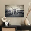 MuchoWow® Poster Schottisches Hochlandrind - Tiere - Wolken Produktbild-Vorschau 3
