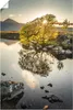 ARTland Poster Rannoch Moor, Highlands, Schottland Größe: Produktbild-Vorschau 1