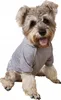 PETSTORY bluza z kapturem dla psa/kota XS, szara, "BOSS" Podgląd zdjęcia produktu 3