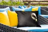 MuchoWow® Outdoor Kissen - Eule - Vogel - Porträt - 50x30 Produktbild-Vorschau 4