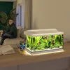 Tetra Akvárium Starter Line LED 54 L bílá Náhled obrázku produktu 6