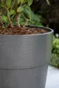 Scheurich Übertopf Groove Nero, Schwarz, Kunststoff, 1 Produktbild-Vorschau 2
