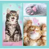 Trefl TREFL Puzzle 3 in 1 set Kittens Anteprima dell’immagine prodotto 4