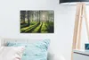 MuchoWow® - Leinwandbilder - Bäume - Natur - Wald, Produktbild-Vorschau 5