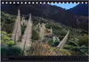 wildes Teneriffa (Tischkalender 2026 DIN A5 quer), CALVENDO Produktbild-Vorschau 7