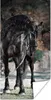 MuchoWow® Poster Pferde - Friesisch - Halfter 60x120 cm - Produktbild-Vorschau 1